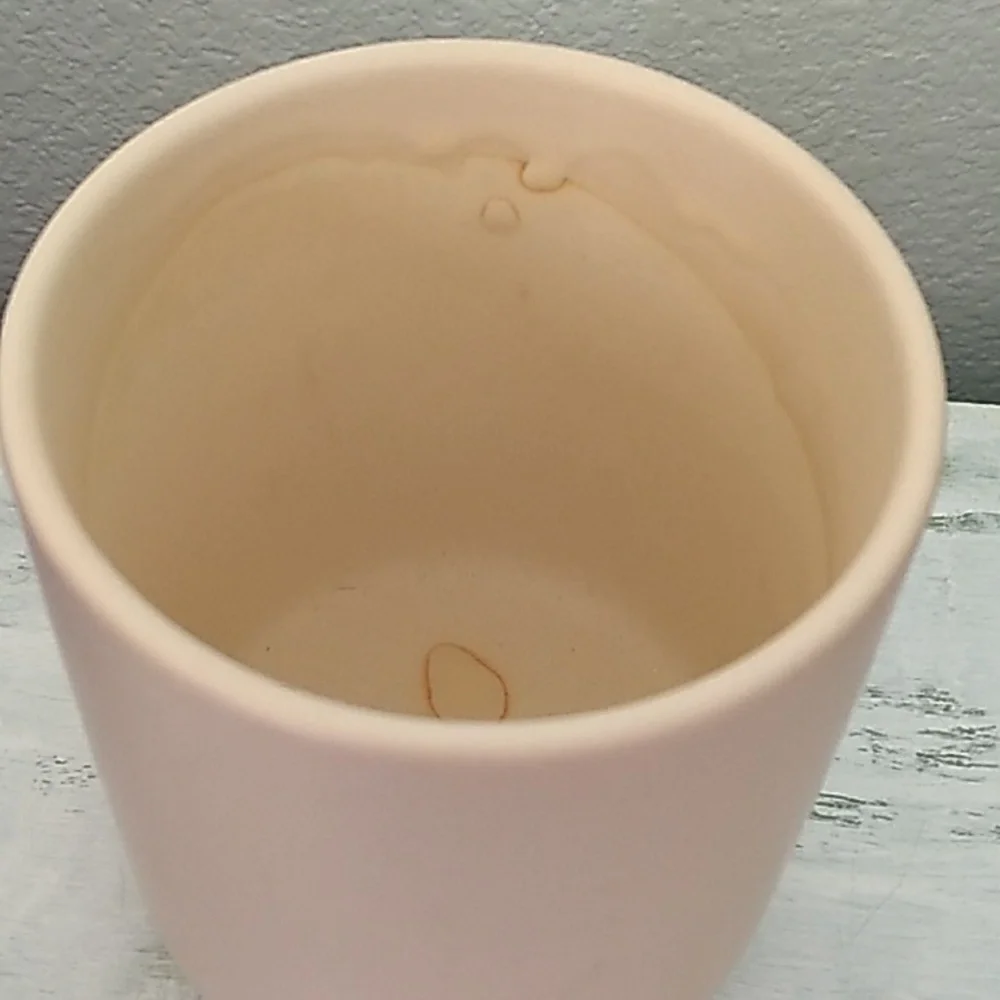 Succulent in a ceramic pot